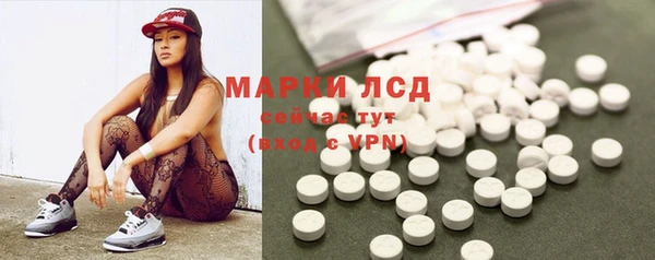 дживик Баксан