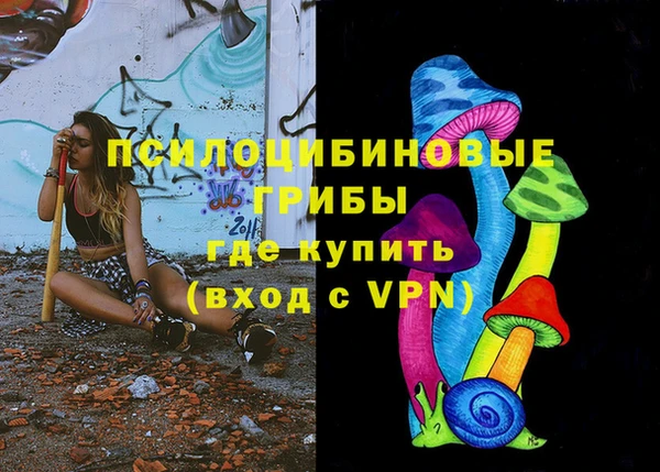 дживик Баксан