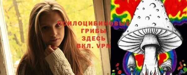 дживик Баксан